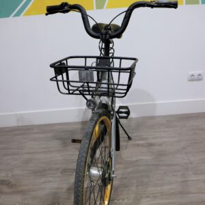 Bicicleta-economica